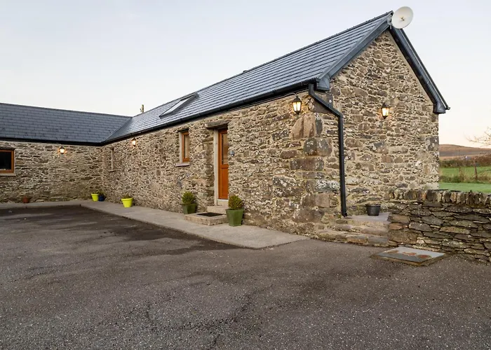 Tigin Dingle
