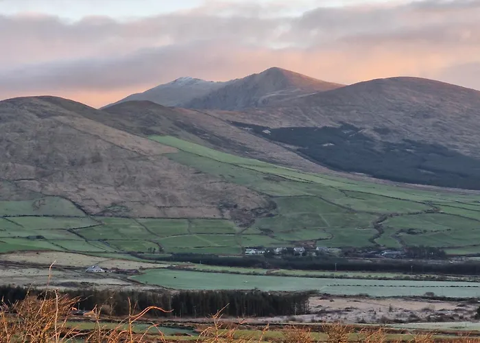 Tigin Dingle